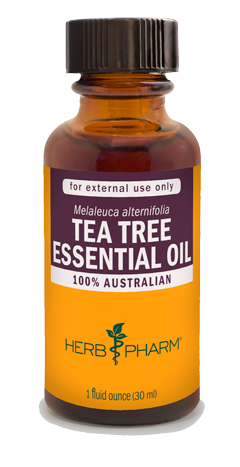 TEA TREE ESSENTIAL OIL 1 fl oz