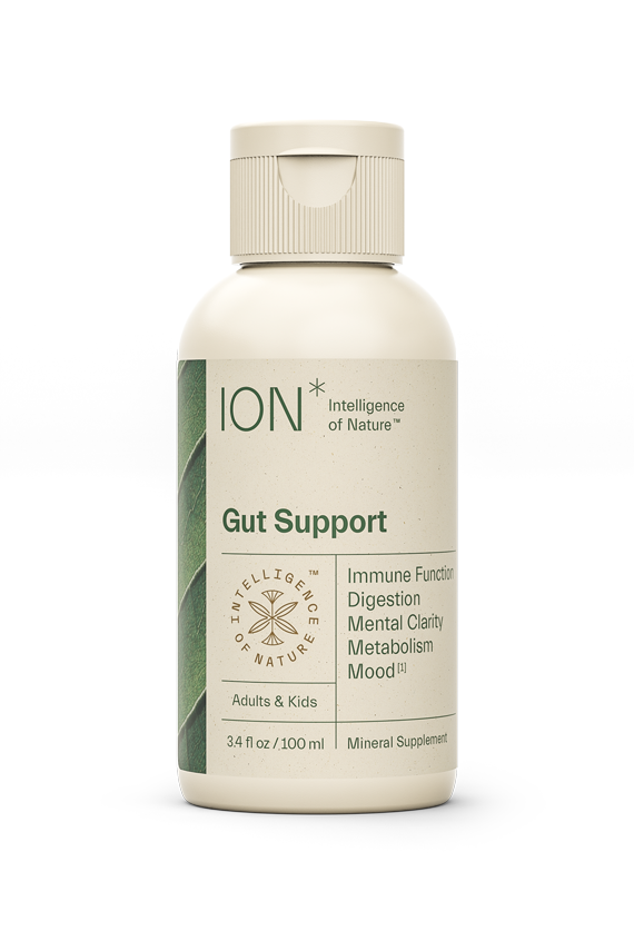 ION* Gut Support 3.4 fl oz