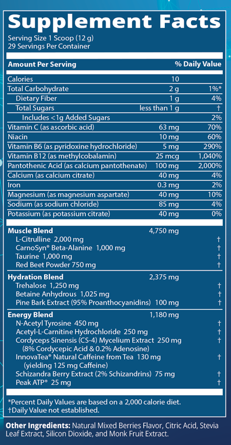 supplement facts