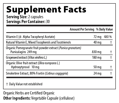 supplement facts