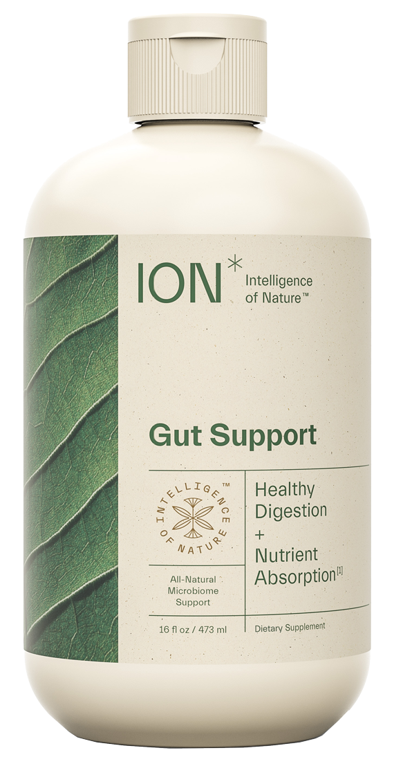 ION* Gut Support 16 fl oz